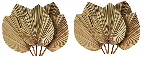 Zelausica Decoración para el dormitorio con hojas secas de palmera - 10 unidades - 45,7 cm de alto x 25,4 cm de ancho - Gran decoración en hoja de palma natural para un bonito aspecto boho