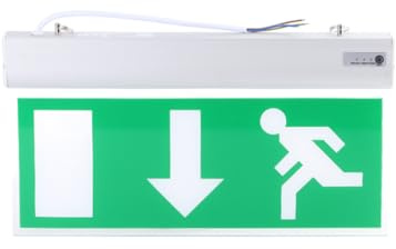 Panneau de sortie de secours à LED, panneau de sortie de secours flèche vers le bas suspendu double face panneau de sortie de secours panneau d'éclairage de sortie en acrylique indicateur d'évacuation
