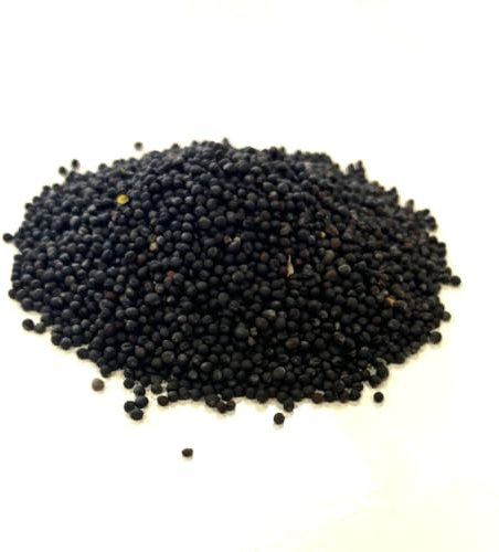 Black Rape Seed 200g Green Manure and Bird Seed SLSD