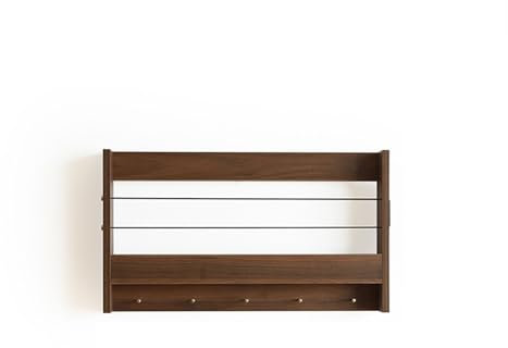 Zeitschriftenhalter (24,8 x 14,2 x 3,1 Zoll) Schlichter, moderner, dekorativer Zeitschriftenständer aus Holz zum Aufhängen mit 5 Messinghaken, an der Wand montierter Post-Organizer für den E