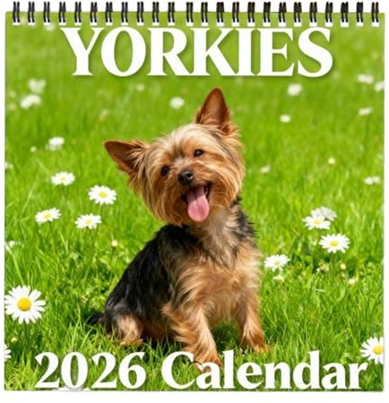 Calendrier Mural Drôle 2026 - Organiseur Animalier Domestique - Agenda Mensuel Thème Chien,Pour Cuisine Appartement Salle De Classe Salle De Réunion Fêtes Et Noël