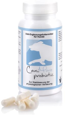 CaniMove probiotic, 100 Kapseln hochdosiertes Probiotikum mit DREI zugelassenen Stämmen für Verdauung, Darmflora und Mikrobiom von Hunden (100 Kapseln)