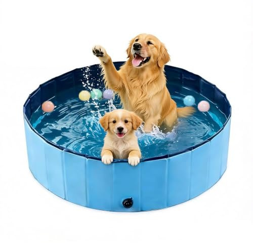 Hundepool Hundebadewanne mit Ablaufloch, Planschbecken Faltbarer Pool, 3-Layer Reinforcement rutschfest, Katzenpool, 3 Größen Verfügbar Für Kleine, Mittlere Und Große Hunde Geeignet.