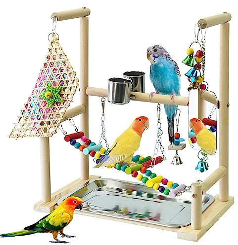 BREUAILY Papageien Spielplatz mit Spiegel Naturholz Vogel Ständer Papageien Spielständer mit Edelstahl Futtertasse Schaukel Leiter Glocken für kleine Sittiche Nymphensittiche Wellensittiche