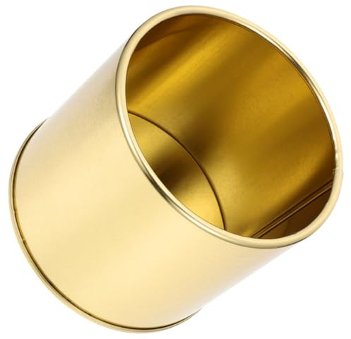 DIYEAH Maceta Metálica Pequeña Tipo Cubo Hierro Resistente Estilo Nórdico Decorativo para Plantas de Interior para Suculentas y Cactus con Diseño Dorado Multifuncional para Hogar y