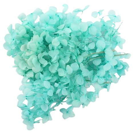 Gkhlg Paquete de 1 hortensia de flores secas naturales decorativas para decoración de pasteles, cupcakes, proyectos de manualidades, flores secas para decoración de panaderos, planificadores de