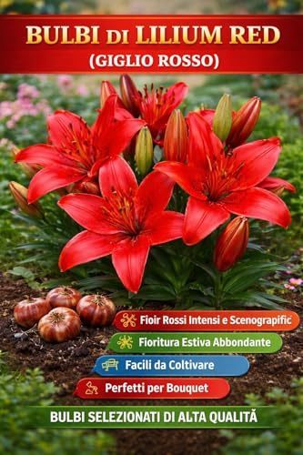 Bulbo di Lilium Red (Giglio Rosso) – Grandi Fiori Profumati – Fioritura Estiva – Ideali per Giardino e Vaso - Con Guida alla Semina Inclusa + Assistenza Agraria Gratuita