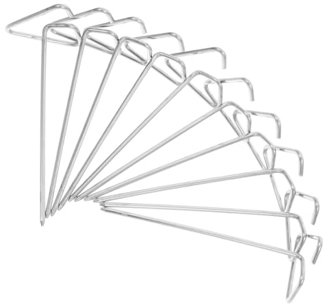 iplusmile 10Pièces Brochettes pour Friteuse à Air de Support Acier Inoxydable pour Barbecue Accessoires de Polyvalents pour Viande