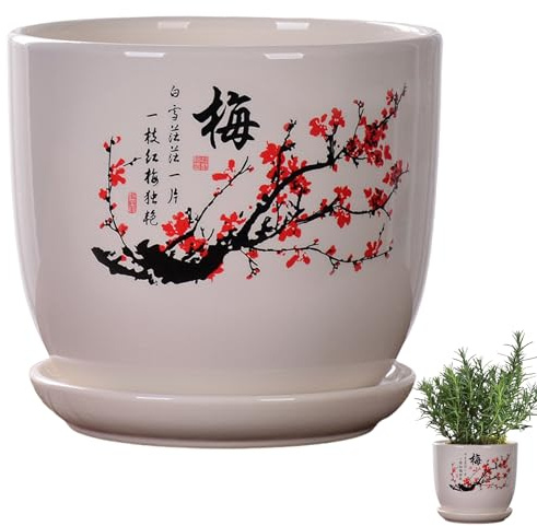 fkngcp Macetas de cerámica para Plantas, macetas de cerámica de Estilo Chino con Bandeja de platillo y Orificio de Drenaje 5.5x4 para Plantas Verdes, orquídeas, arañas y más