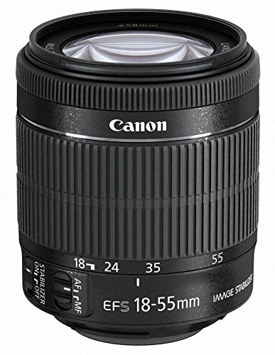Canon EF-S 18-55mm f/3.5-5.6 IS STM Zoom Lens (Renewed)