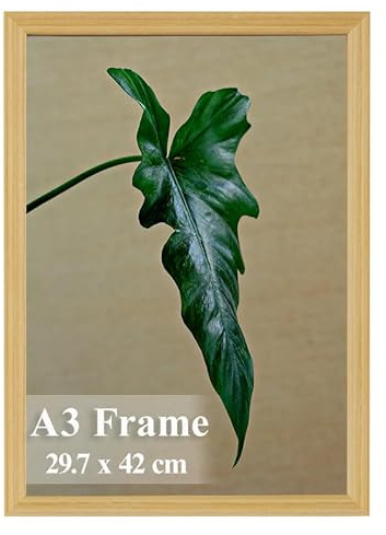 A3 Picture Frame, Wooden Poster Frame, 29.7x42cm Photo Frames for Display Family Pictures Wall Gallery Photo Frames Wall Mounting Horizontally or Vertically (Oak)