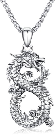 YEESIA drakhalsband för män 925 sterlingsilver oändlighet berlock halskedja drake hänge smycke present för män och kvinnor, 28mm, Sterlingsilver, Ingen ädelsten