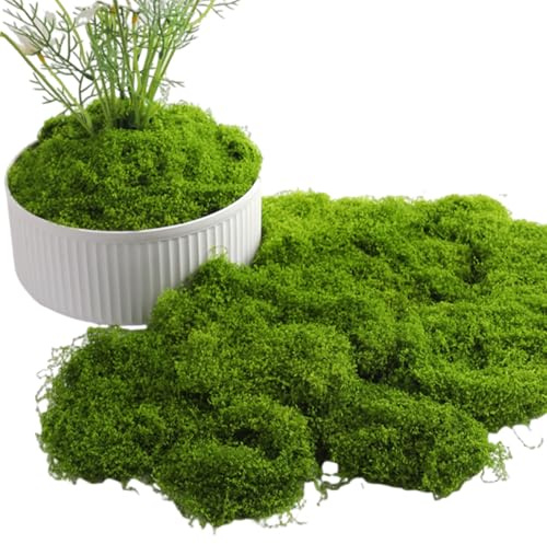 atnayo 200g Fake Moss, Realistic Artificial Moss for Indoor Plant Pots Crafts Centerpieces Floristry Fairy Gardens