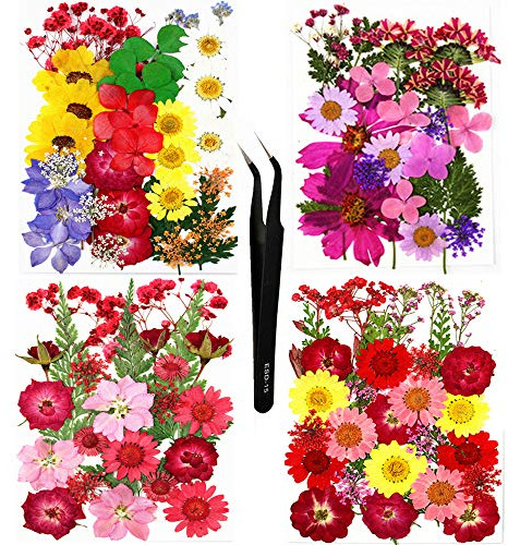 Huimai 114 Stück Getrocknete Blumen Natürliche Trockenblumen für Epoxidharz, DIY Kerzen, Anhänger, Fotorahmen, Bath Bombs