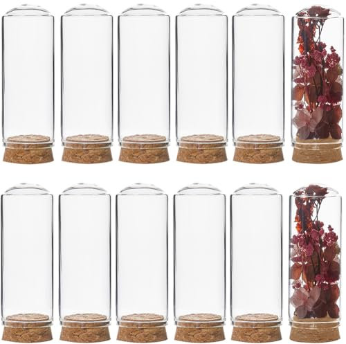 SUNNYCLUE 12Pcs Mini Cloche Dome 30x80m Mini Display Bell Jar with Cork Base 40ml Glass Dome Cover Mini Dome Glass Cloche Bell Jar Decorative Vial for Flower Storage Home Christmas Party Favor Decor