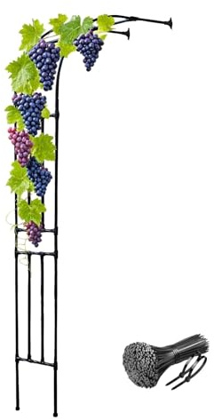 Heavy Duty Steel Garden Arch Half Side Outdoor Arbor Trellis 90cm 120cm 150cm 220cm 260cm 300cm Wide for Climbing Plants Vines and Roses Sturdy Arbour Stand for Ceremony Decoration(Black,W x H: 60 x 2