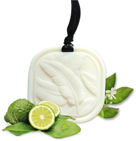 Solid Scented Wax Sachet – Wardrobe Freshener Bergamot & Cashmere | Long-Lasting Air Freshener for Closet, Drawer & Home | Natural Rapeseed Wax – 34g