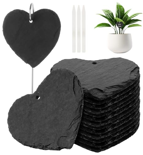 APACALI 15 stycken växtskyltar för märkning, skiffer växtskyltar för utomhusbruk, skiffer inklusive kritpenna, växtpinnar för örter, blommor, grönsaker, 10 x 10 cm