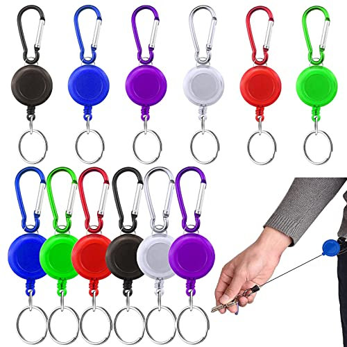 12 Stücke Schlüsselband Ausziehbar, Einziehbarer Ausweishalter Schlüsselrolle Einziehbarer Schlüsselanhänger, Schlüsselanhänger Ausziehbar für Abzeichen, Ausweise, Kartenhalter, Schlüsselkarte