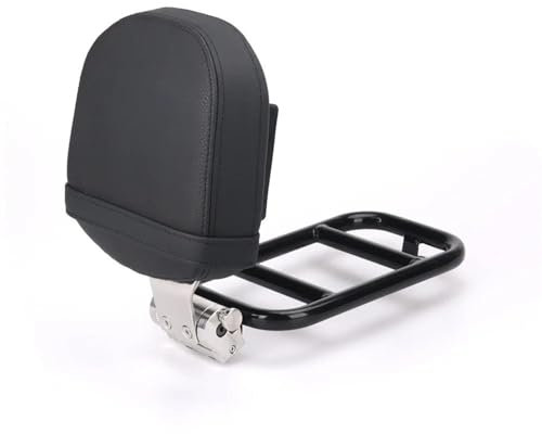 BAYDE Respaldo De Motociclista, Almohadilla De Descanso Trasera Plegable, Respaldo del Conductor para R18 2020-2023 R18 Classic 2021 2022 2023 (Color : Black)