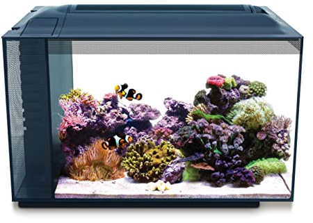 Toulifly Fluval 10531 A1 Sea Evo XII. Aquarium-Set