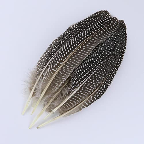 20/50/100 STÜCKE Natürliche Pfau-Fasan-Federn zum Basteln Straußenfeder-Schmucksachen, die dekorative Federn herstellen, Großhandel, 15-20 cm, 100 Stück