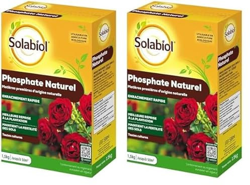 SOLABIOL Phosphate Naturel - 1,5 Kg - Engrais pour Arbustes Fleurs et Fruits SOPHO15G10N, Marron (Lot de 2)