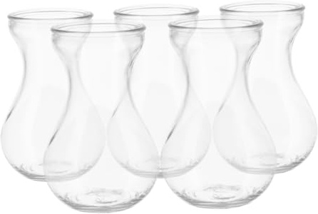 MUELODSIC 5pcs Small Glass Vases Hydroponic Flower Vases Creative Decorative Glass Bud for Home and Office Table Centerpiece