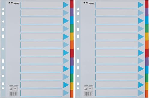 Leitz Esselte Divisori per Raccoglitori con 12 Tasti, Formato A4, Blu/Multicolore, Cartoncino Robusto Riciclato, 12 Tasti con Pagina Indice, 100194 (Confezione da 2)