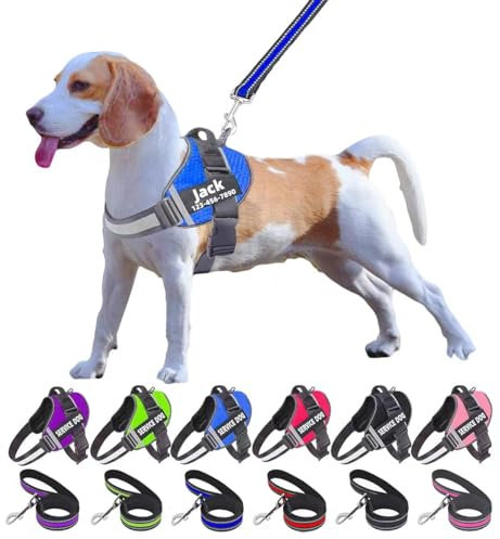 Moonpet Personalized No Pull Dog Harness Leash Set with Custom Name and Phone Number, Heavy Duty Pet Vest to Prevent Tugging, Pulling, or Choking, Training and Walking (XS-XXL, 9 Colorful)…