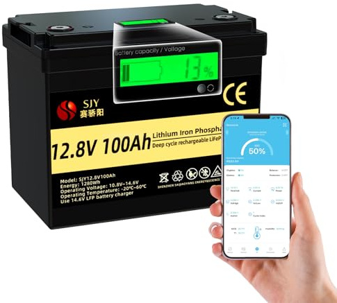 SaiJiaoYang LiFePO4 12V 100Ah Batterie mit Bluetooth, Klasse A Lithium Batterie Eingebautes 100A BMS 1280Wh Ausgang Perfekt für Wohnmobile, Solaranlage, Camping, Wohnwagen, Boot, Reiseanhänger