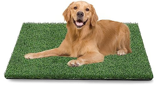 GIBZ Kunstrasen Hundeklo Gras Teppich für Hunde Waschbar Welpen Trainings Hundetoilette mit Drainageloch, L, 51.5×40cm