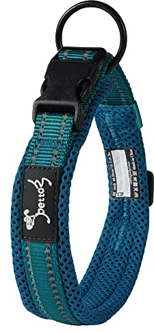 PETTOM Halsband Hund Verstellbar Nylon Reflektierend, Blau L