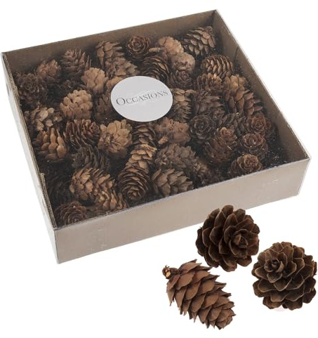 100 Bulk Box 3-5 cm Natural Pine Cones in Clear tub