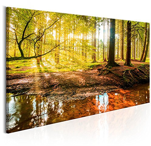 B&D XXL - Akustikbild Wald 120x60 cm Bilder Akustikschaum Hochleistungsschallabsorber Schallschutz Leinwand 1 tlg Wandbild Raumakustik Schalldämmung - Baum Natur c-B-0174-b-a