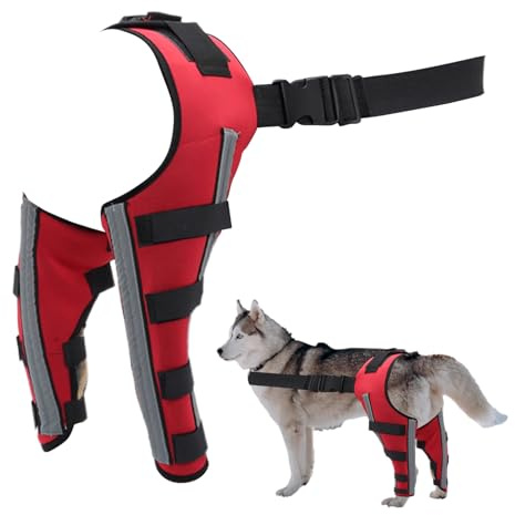 Orthopedic Brace for Dogs Adjustable Support Bracket