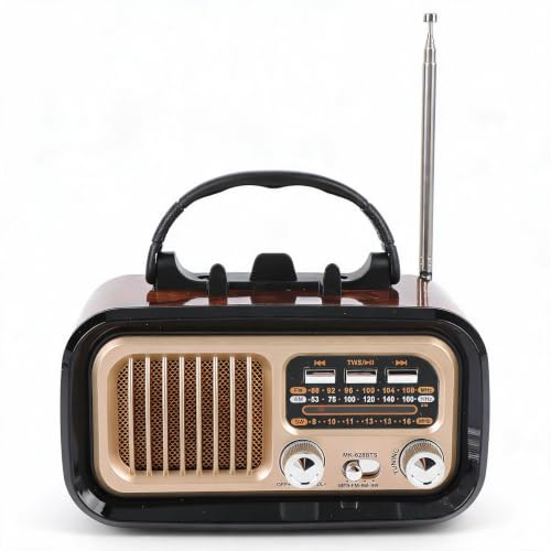 Retro Radio mit Bluetooth-Lautsprecher, Tragbarer AM-FM Radio Lautsprecher, USB-Wiedergabe, Solarbetrieb, Wiederaufladbar für Camping im Freien