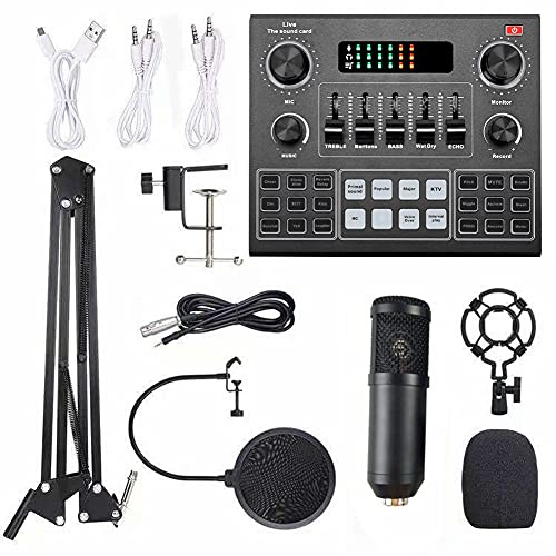 Dilwe Set di Microfoni a Condensatore di Registrazione di Trasmissione, Scheda Audio Live e Sospensione Multifunzionale per Computer Mobilephone (BLACK)