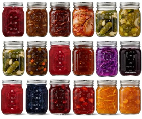 Danmu Art 18 Pack Glass Mason Jars with Airtight Lids,480ml Preserving Jars | Jam Jars for Pickling,Overnight Oats,Breakfast,Meal Prep,Glass Container for Dry Food Storage,DIY & Wedding Favours,Leakproof