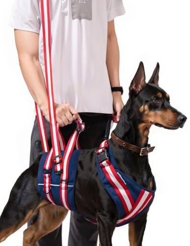 Tragehilfe Hund, Stützgeschirr Für Eckzähne, Hundetrage, Gehhilfe Für Ältere Hunde, Treppenhilfe Für Hunde Oder Nach Operationen Behandelte, Tragegeschirr Hund (XL)