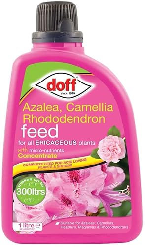 2 X Doff 1L Ericaceous Plant Feed