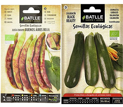 Judía Buenos Aires Roja - ECO & Calabacín Black Beauty - ECO