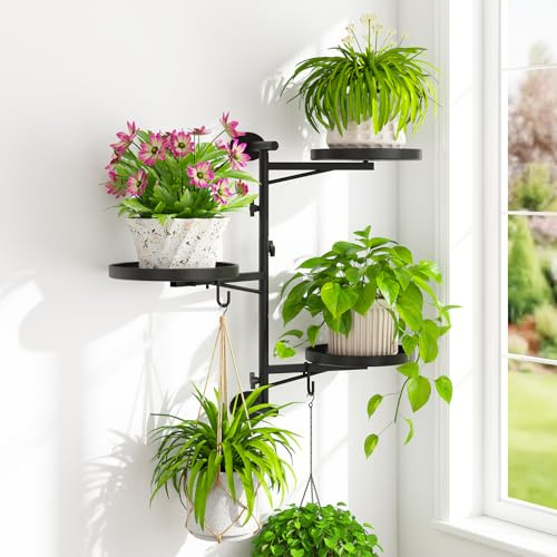 iDavosic.ly Wand Pflanzenhalter, Metall Blumenständer mit 2 Haken, Wandmontage Blumenregal für Fenster, Platzsparend & Einfach zu Montieren (Ohne Töpfe/Ketten/Pflanzen)