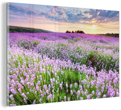MuchoWow© Glasbilder Wanddeko Wohnzimmer Aesthetic Room Decor Deko Zimmer | 60x40 cm - Wandbilder Modern Bild auf Glas Blumen - Lavendel - Lila - Himmel - Sonnenuntergang - Wiese - Natur