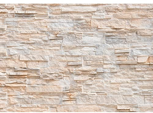 Runa Art Fototapeten 396 x 280 cm Steinwand 3D Effekt - Vlies Wanddekoration Wohnzimmer Schlafzimmer - Deutsche Manufaktur - Beige 9082012a