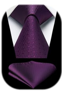 HISDERN Herren Lila Krawatte Karierte Krawatten Taschentuch Elegant Klassisch Krawatte & Einstecktuch Set