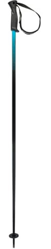 HEAD Bastoncini da Sci Unisex Adult Frontside Black Speed Blu, 135
