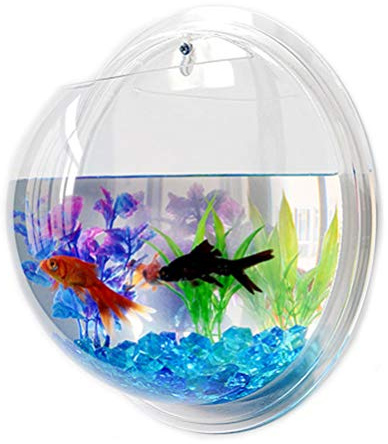Réservoir De Poisson De Balle Suspendu Aquarium Acrylique Bocaux à Poissons Cascade Daquarium Portable Bocal à Poisson Suspendu Aquarium Portatif Petit Aquarium Mural Plante Bulle