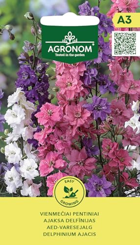 AGRONOM | Rittersporn - AJACIS samen | Blumensamen | Pflanze samen | Einjährige Blumen, 45 cm hoch, mit markanten, oft halbstängellangen Blütenständen | Gartensamen | 1 Pack