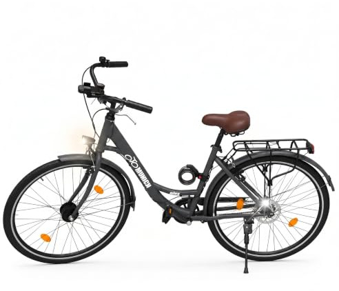 oToMUNICH Base Boring Grey 28 Zoll Fahrrad, Single Speed, City-Bike, Tiefeinsteiger mit Stahlrahmen, Nabendynamo 60 Lux LED Frontlicht, mit Tracker, Fahrradcomputer, Handyhalterung und Gepackträger